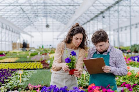 Le travail en milieu protégé