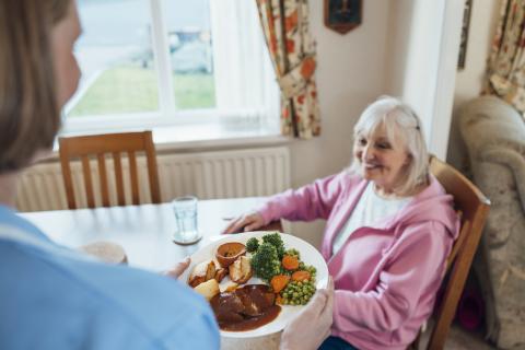 Les services favorisant le maintien à domicile